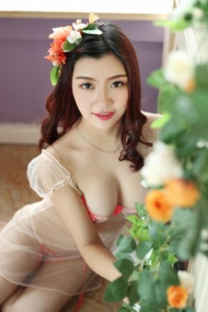 明朗少女成功记 电视剧