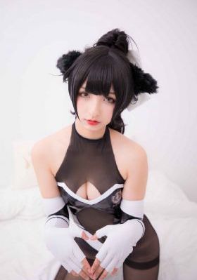 新手驾到综艺免费观看完整版
