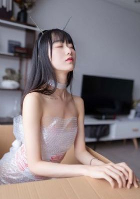 美国派2
